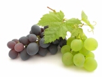 История винограда и его полезные свойства