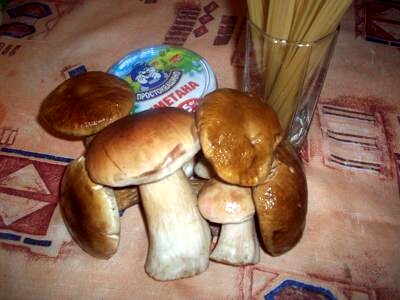 Пасту с белыми грибами в сливочном соусе можно подать на стол с несколькими веточками зелени
