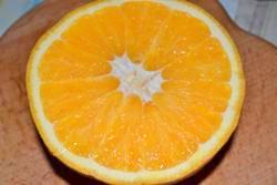 apelsinovole-morozhenje-3