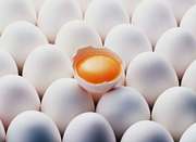 Сколько калорий в яйце вареном ,  свмятку ,  жареном  узнайте ответ на этот вопрос 