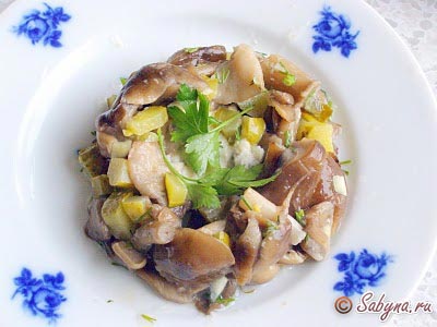 Рецепты блюд из белых грибов