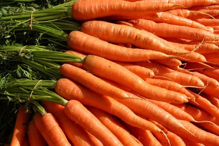 Как вырастить морковь своими руками
