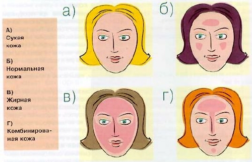 Как определить тип кожи : Сухая кожа лица 