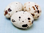Перепелиные яйца польза и вред  